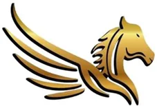 Logo Buraq Logistik